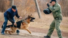 Допомагати фахівцям